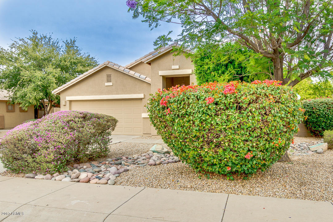 654 East Iris Court Gilbert, AZ 85296 - Photo 3 of 36 Front