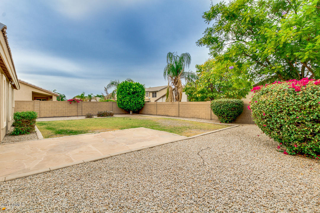654 East Iris Court Gilbert, AZ 85296 - Photo 34 of 36 Back Yard