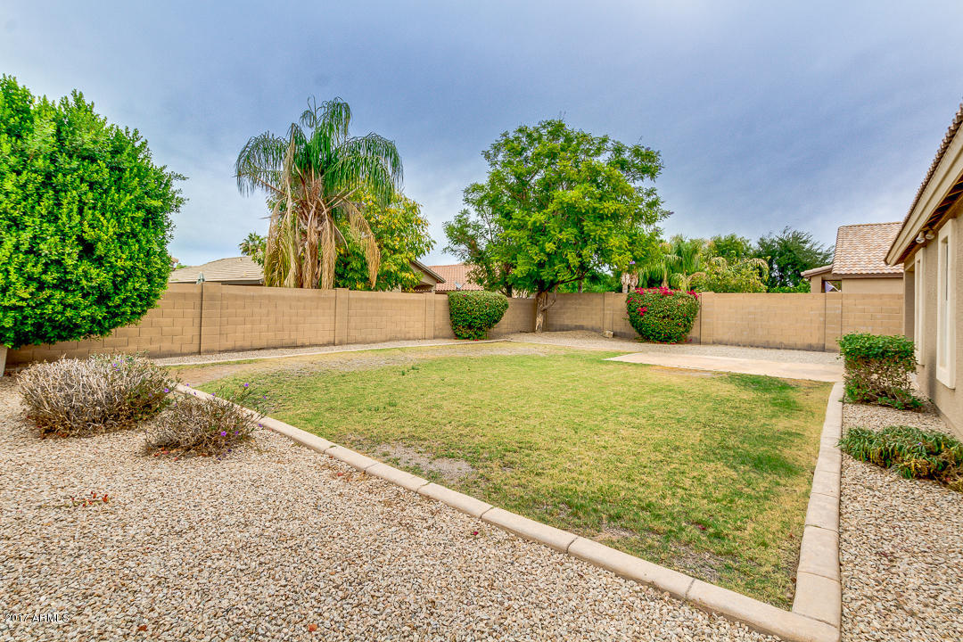 654 East Iris Court Gilbert, AZ 85296 - Photo 35 of 36 Back Yard