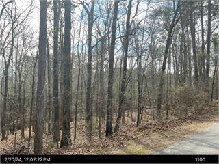 0 Twin Pine Road Thomson, GA 30824 - Photo 4 of 4 0