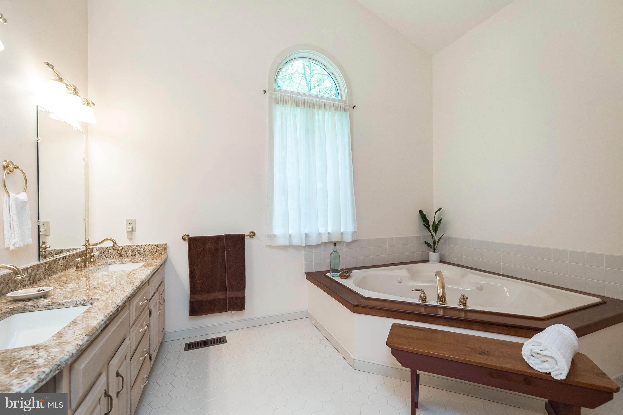 537 Fillman Road Downingtown, PA 19335 - Photo 43 of 57 Main Bath Granite vanity and Whirlpool tub