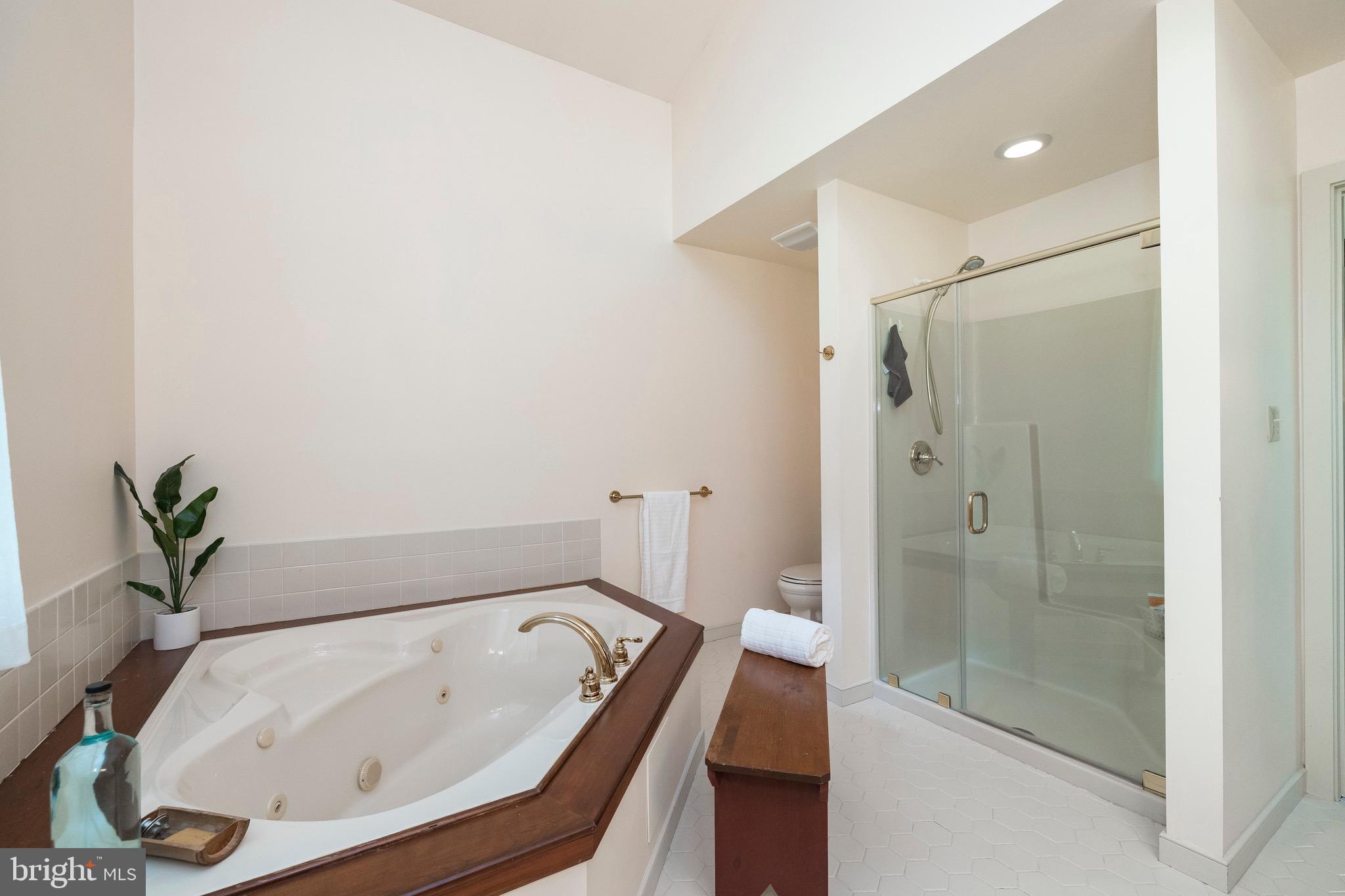 537 Fillman Road Downingtown, PA 19335 - Photo 44 of 57 Main bath Clear Glass Shower
