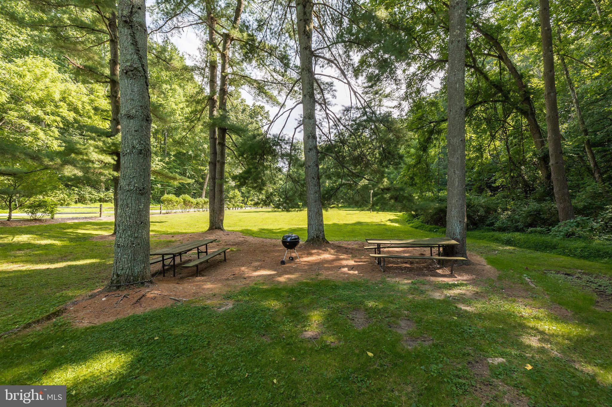 537 Fillman Road Downingtown, PA 19335 - Photo 50 of 57 Grills and Picnic area in Shamona Creek