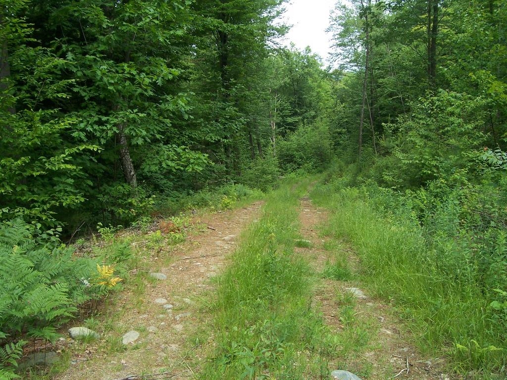 0 Cat Hole Road Claremont, NH 03743 - Photo 2 of 2