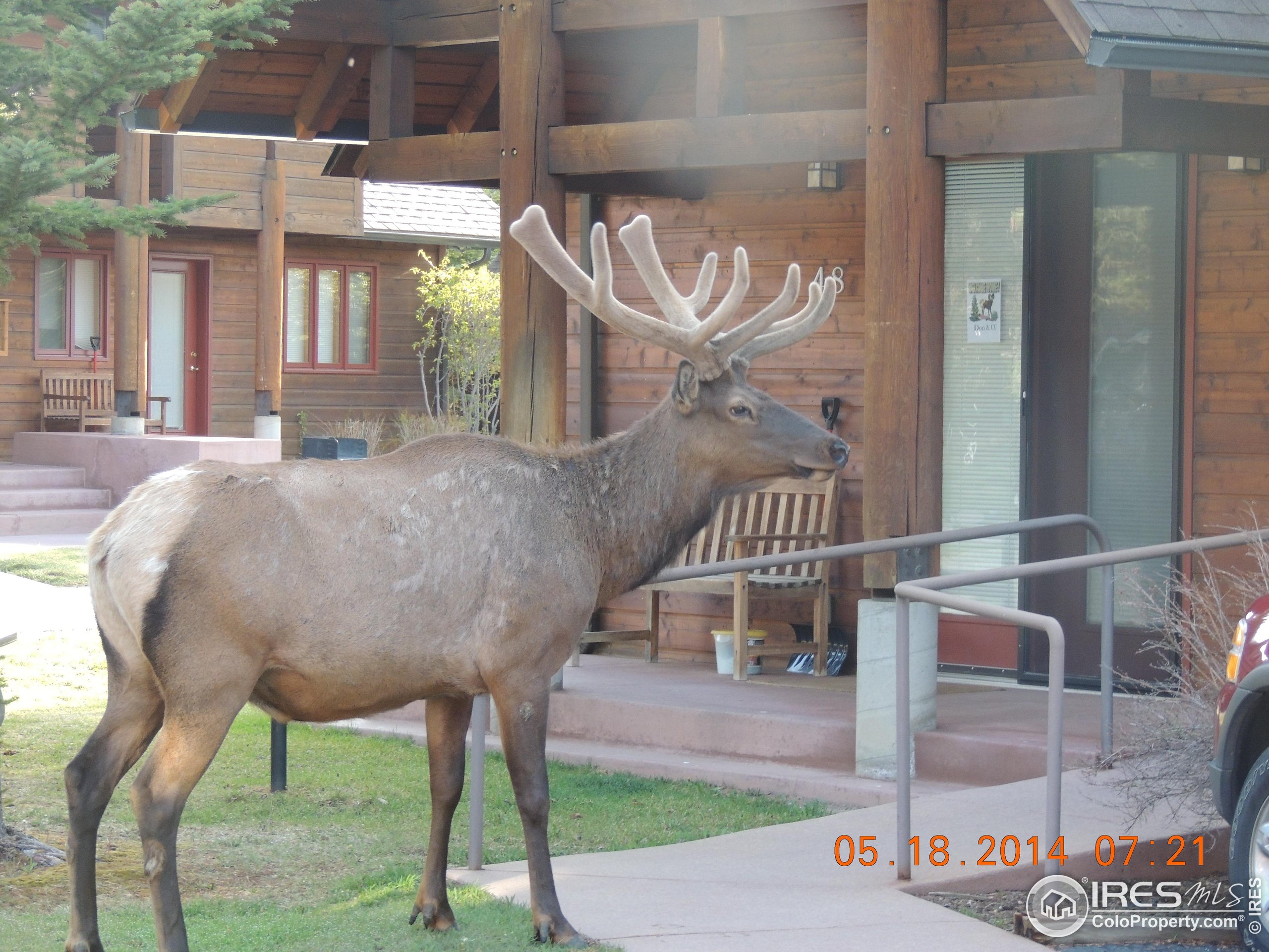 1565 Highway 66, Unit 46 Estes Park, CO 80517 - Photo 12 of 21 a view of a balcony with table & chairs