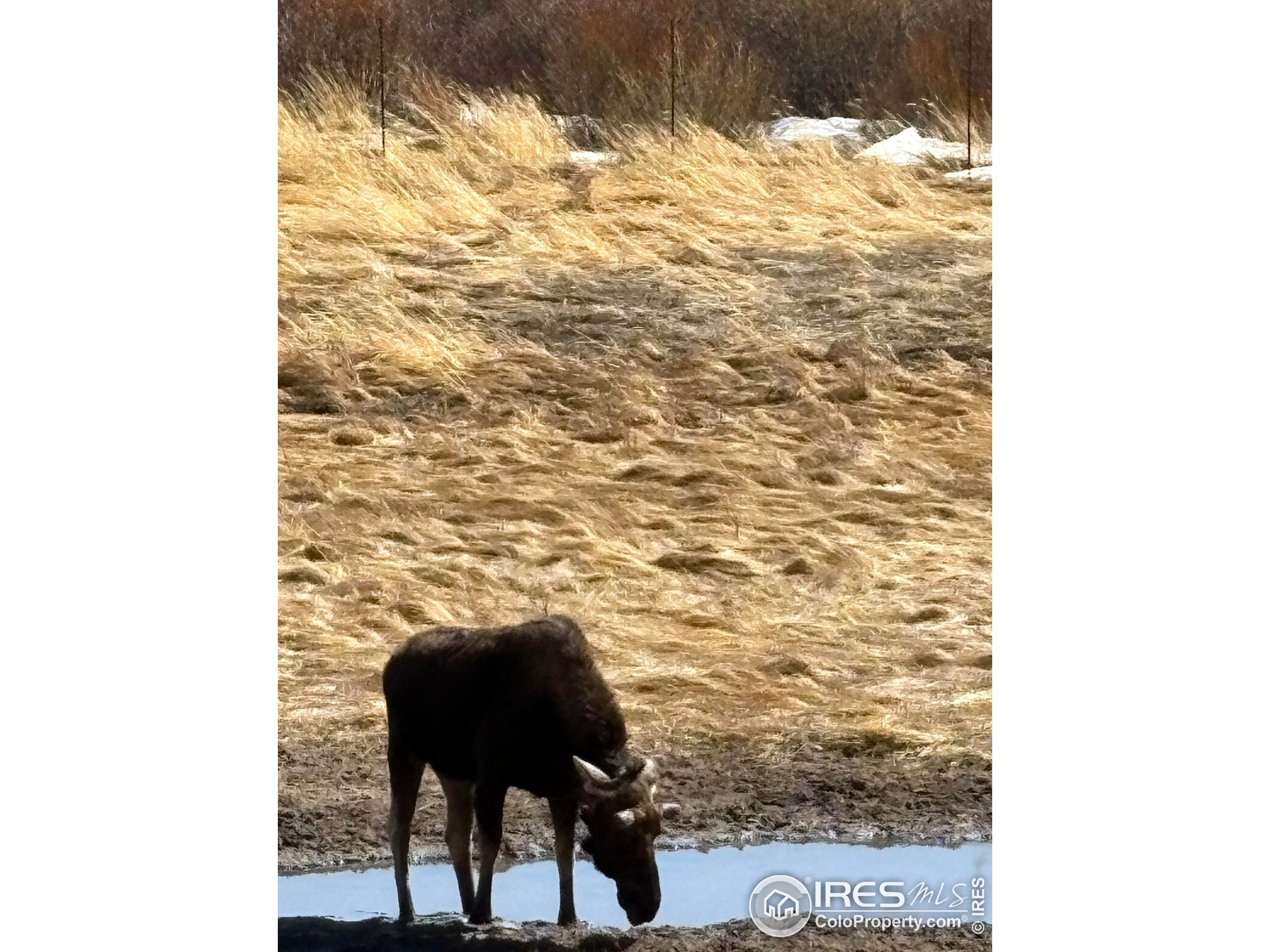 1565 Highway 66, Unit 46 Estes Park, CO 80517 - Photo 14 of 21 a view of a balcony with chair and wooden floor