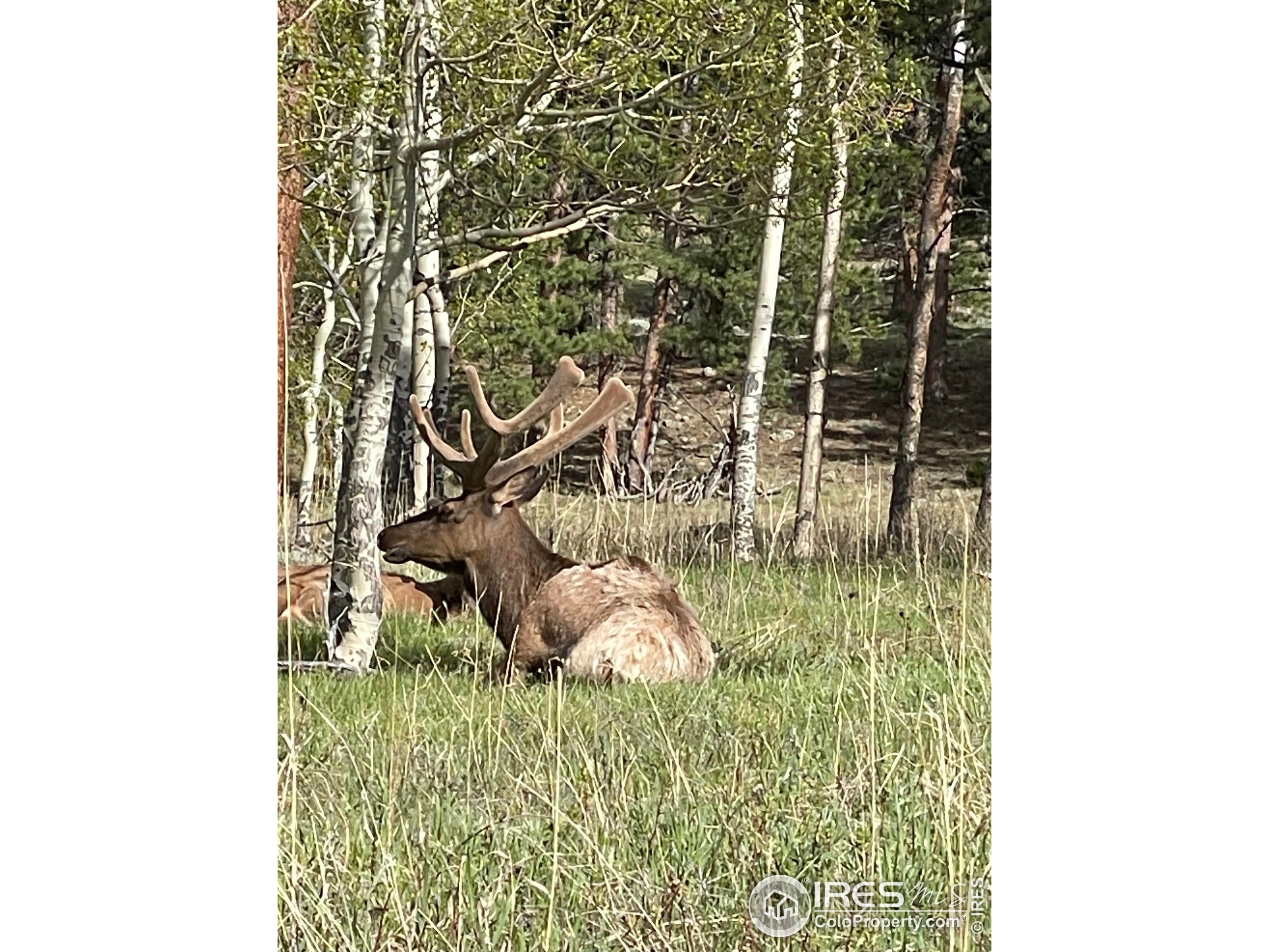 1565 Highway 66, Unit 46 Estes Park, CO 80517 - Photo 15 of 21 a bathroom with a sink