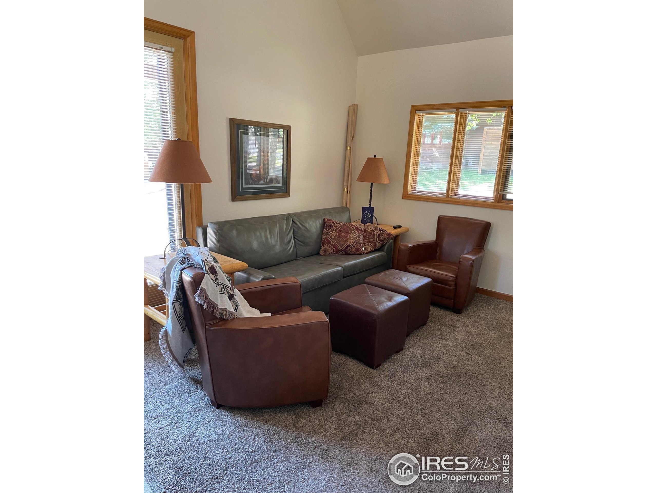 1565 Highway 66, Unit 46 Estes Park, CO 80517 - Photo 3 of 21 a living room with furniture and a window