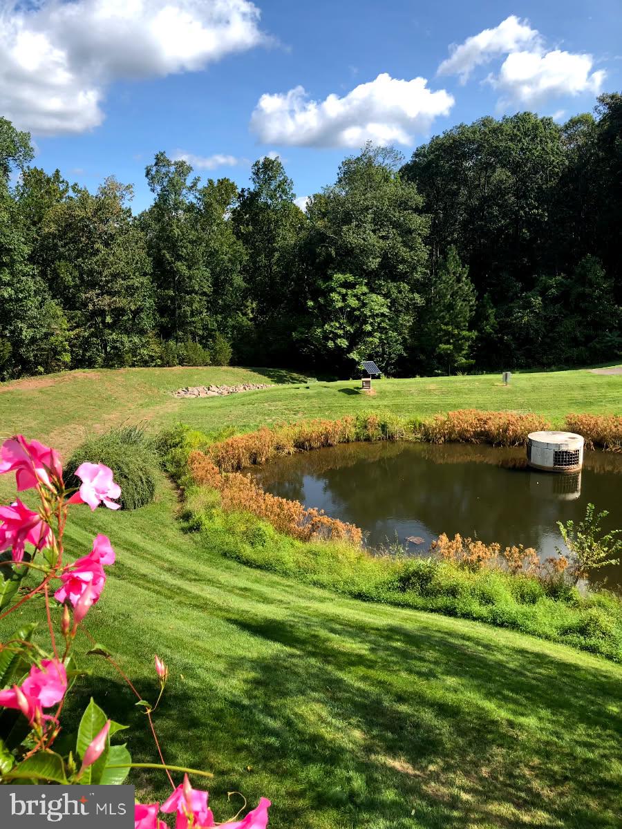 13514 Ryton Ridge Lane Gainesville, VA 20155 - Photo 53 of 57 Beautiful view of pond