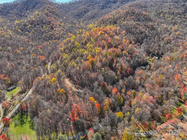 a picture of city and tree