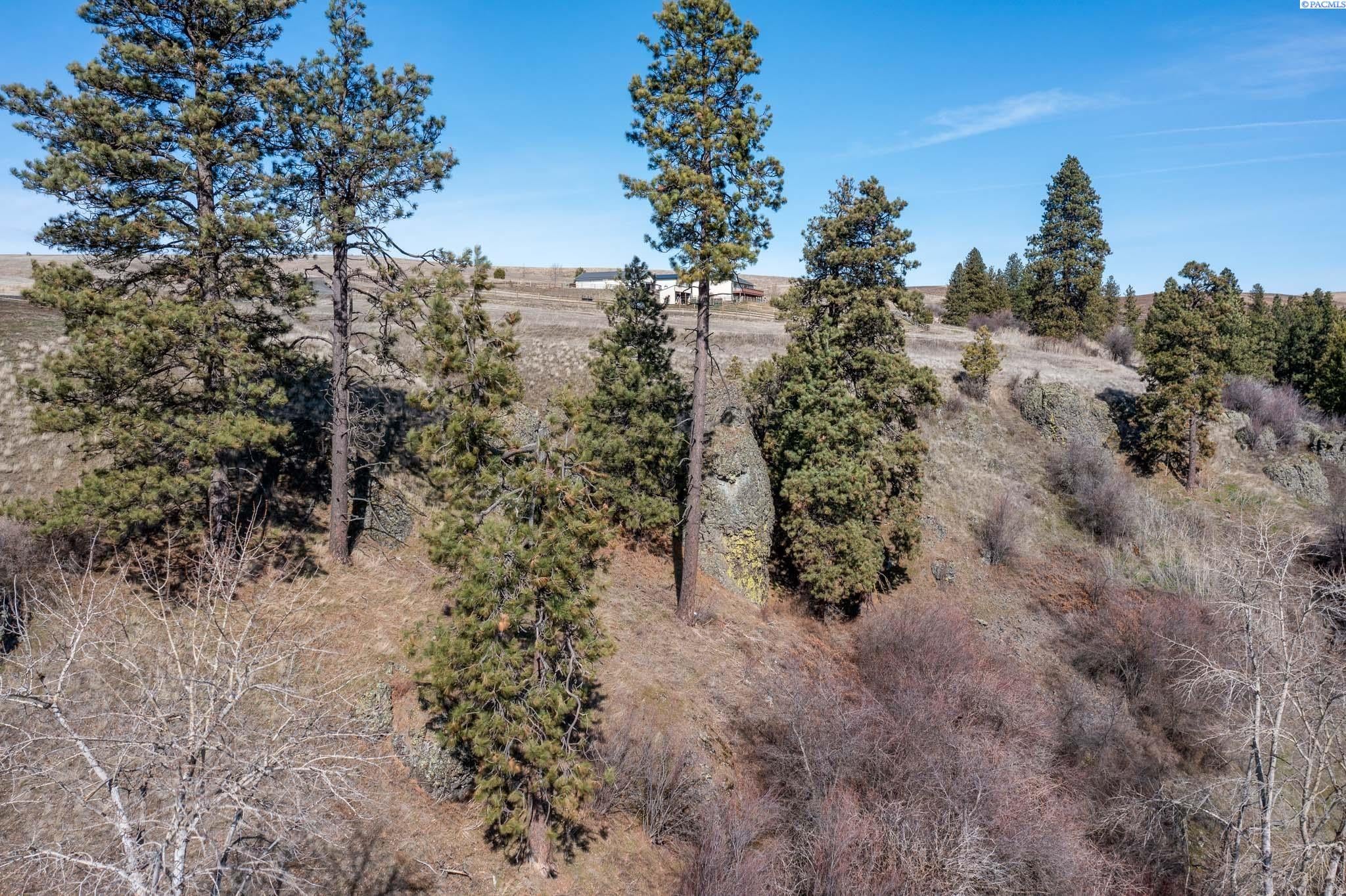 6 East Red Tail Ridge Colfax, WA 99111 - Photo 14 of 18 Gallery Image 14