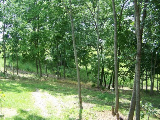 4855 St Paul Road Morristown, TN 37813 - Photo 13 of 40 Additional Photo