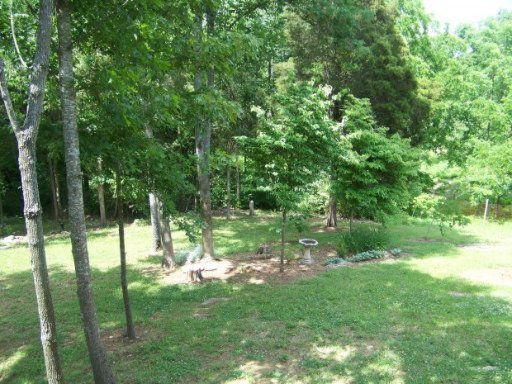 4855 St Paul Road Morristown, TN 37813 - Photo 16 of 40 Additional Photo