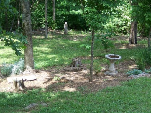 4855 St Paul Road Morristown, TN 37813 - Photo 17 of 40 Additional Photo