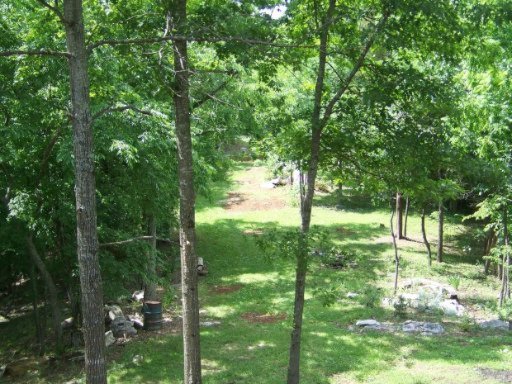 4855 St Paul Road Morristown, TN 37813 - Photo 18 of 40 Additional Photo