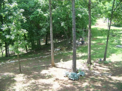 4855 St Paul Road Morristown, TN 37813 - Photo 19 of 40 Additional Photo