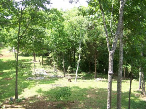 4855 St Paul Road Morristown, TN 37813 - Photo 20 of 40 Additional Photo