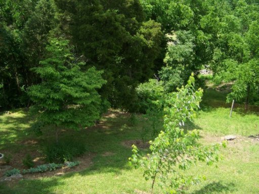4855 St Paul Road Morristown, TN 37813 - Photo 23 of 40 Additional Photo