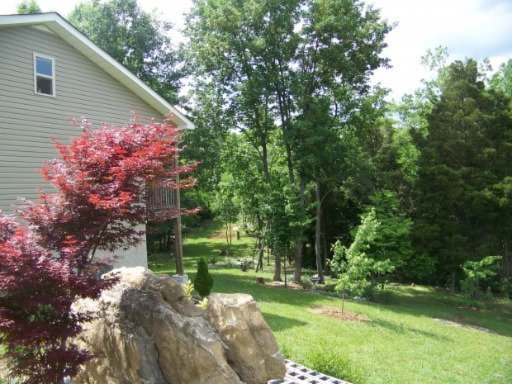 4855 St Paul Road Morristown, TN 37813 - Photo 36 of 40 Additional Photo