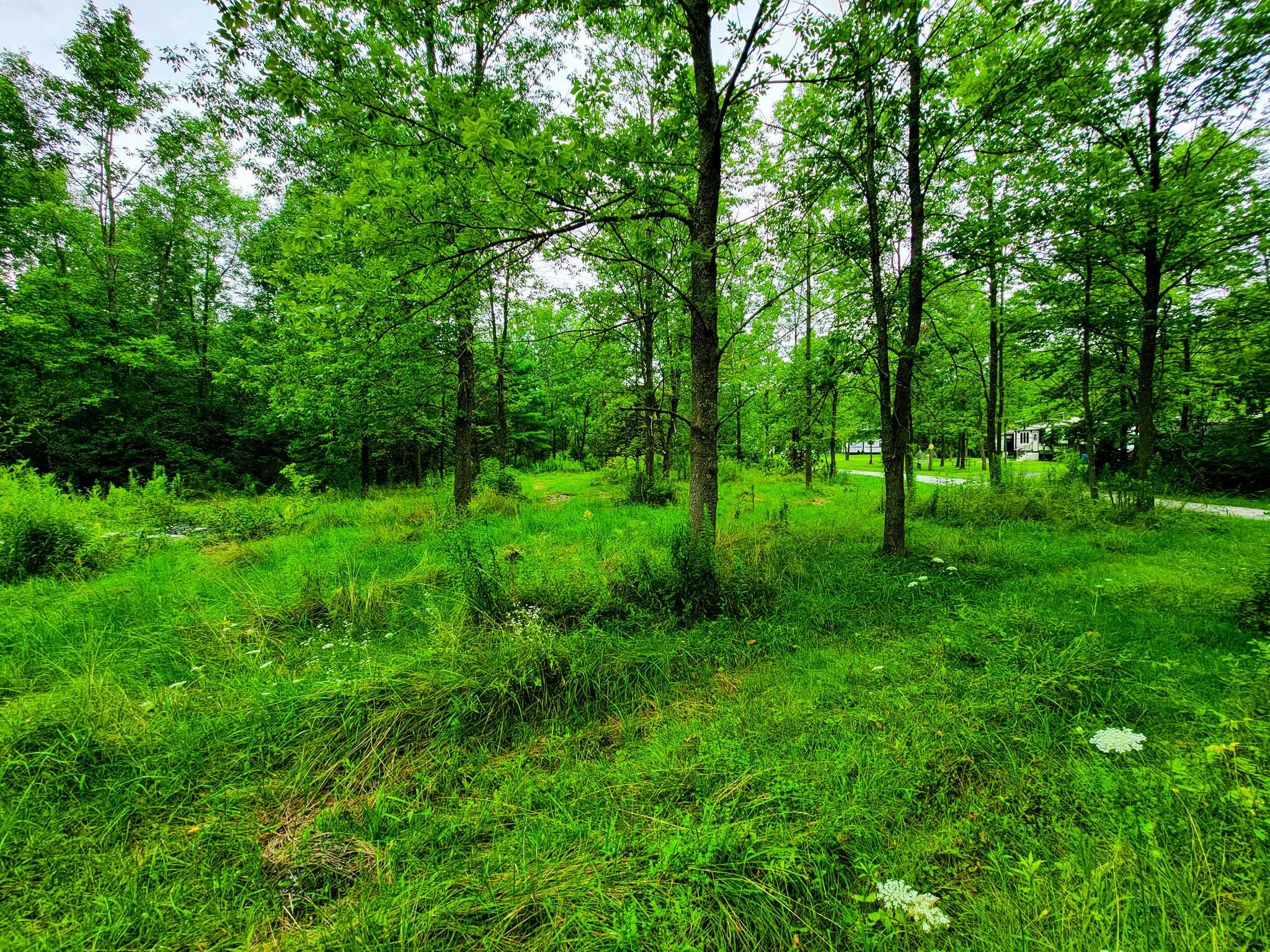 3 Frigate Road Grand Isle, VT 05458 - Photo 4 of 38