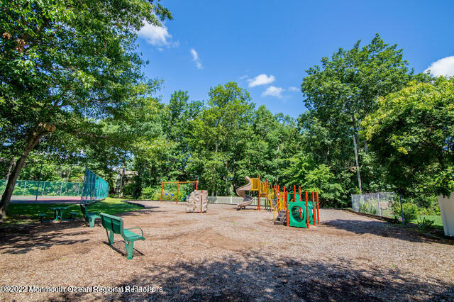 110 Daisy Court Jackson, NJ 08527 - Photo 18 of 21 60 Acres Playgrund
