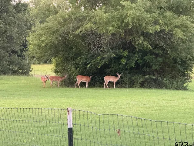 $789,000,000 | 9748 Cr 1200 Athens Tx 75751, Athens, TX 75751