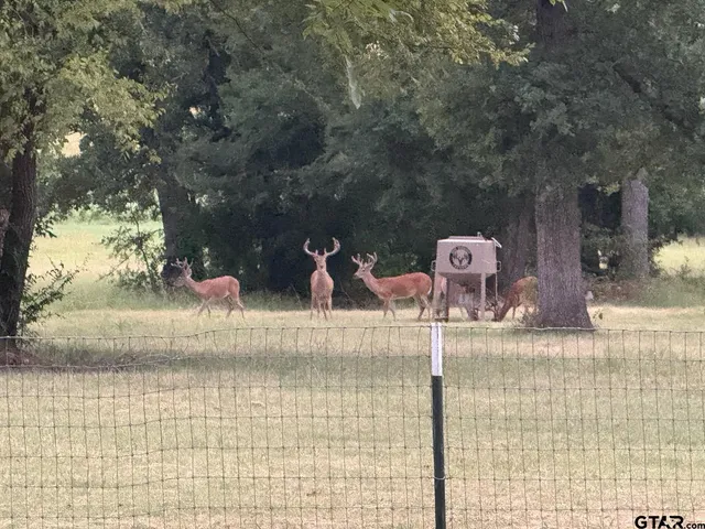 $789,000,000 | 9748 Cr 1200 Athens Tx 75751, Athens, TX 75751