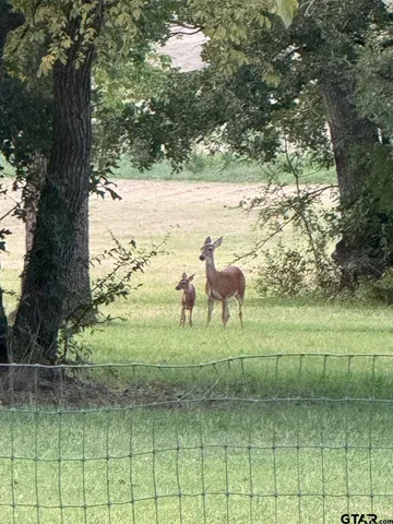 $789,000,000 | 9748 Cr 1200 Athens Tx 75751, Athens, TX 75751