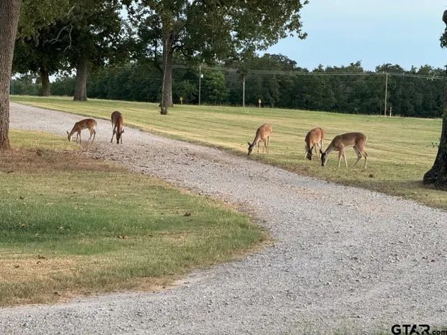 $789,000,000 | 9748 Cr 1200 Athens Tx 75751, Athens, TX 75751