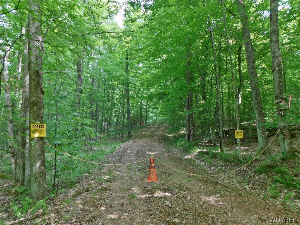 1 Nile Road/county Road Friendship, NY 14739 - Photo 1 of 11