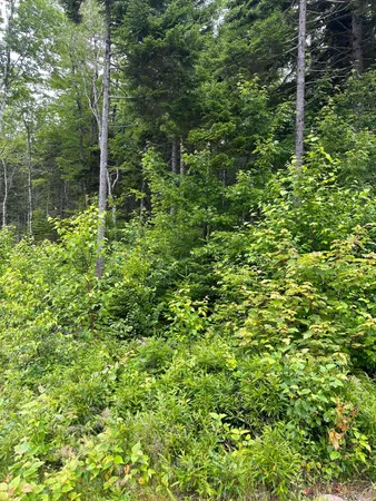 $299,000 | Lot 44 Estates Road, Steuben, ME 04680