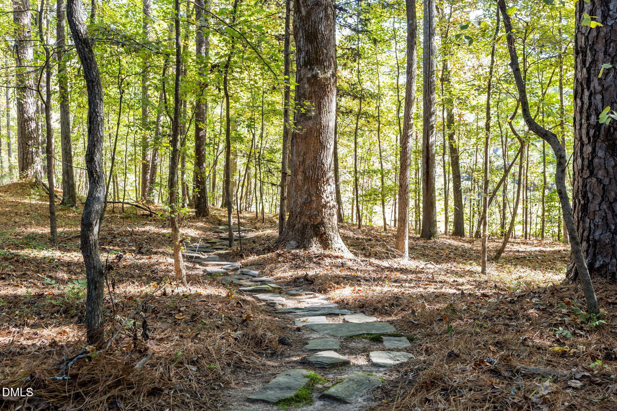 116 Carramore Lane Durham, NC 27705 - Photo 50 of 56 85-web-or-mls-IMG_0457