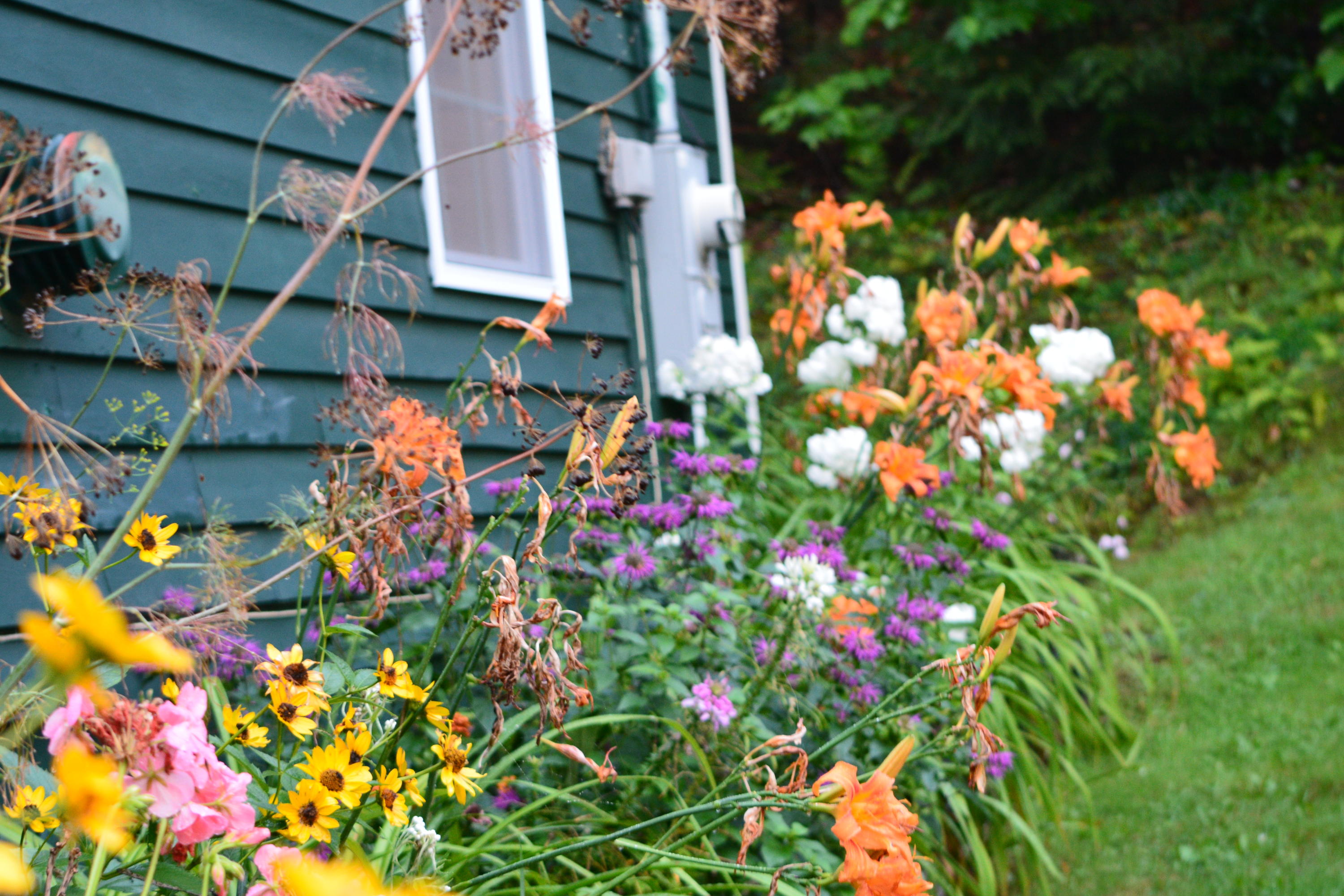 37 Sandy Bay Road Greenville, ME 04441 - Photo 14 of 48 08B2B928-7031-491A-811E-C038131261DD