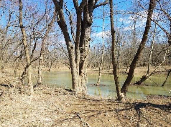 0 Detour Road Vevay, IN 47043 - Photo 11 of 16