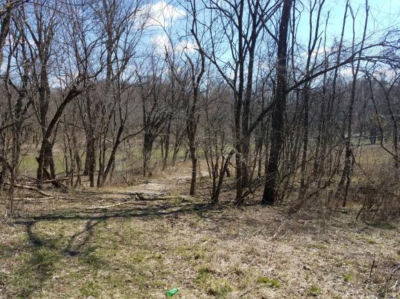 0 Detour Road Vevay, IN 47043 - Photo 7 of 16