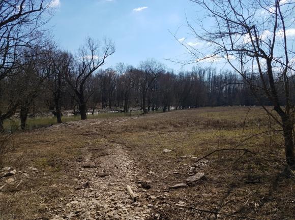 0 Detour Road Vevay, IN 47043 - Photo 8 of 16