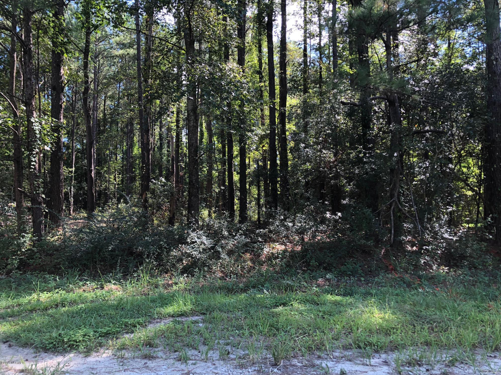 Lot 87 Pond Road Rocky Point, NC 28457 - Photo 3 of 22 IMG_2970