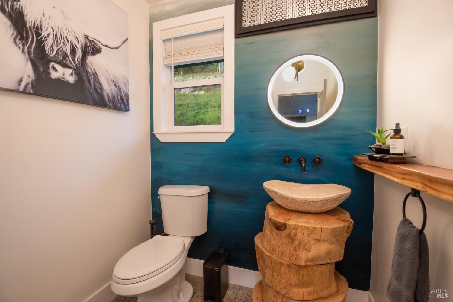22855 Chianti Road Cloverdale, CA 95425 - Photo 19 of 76 a bathroom with a toilet a sink and a mirror