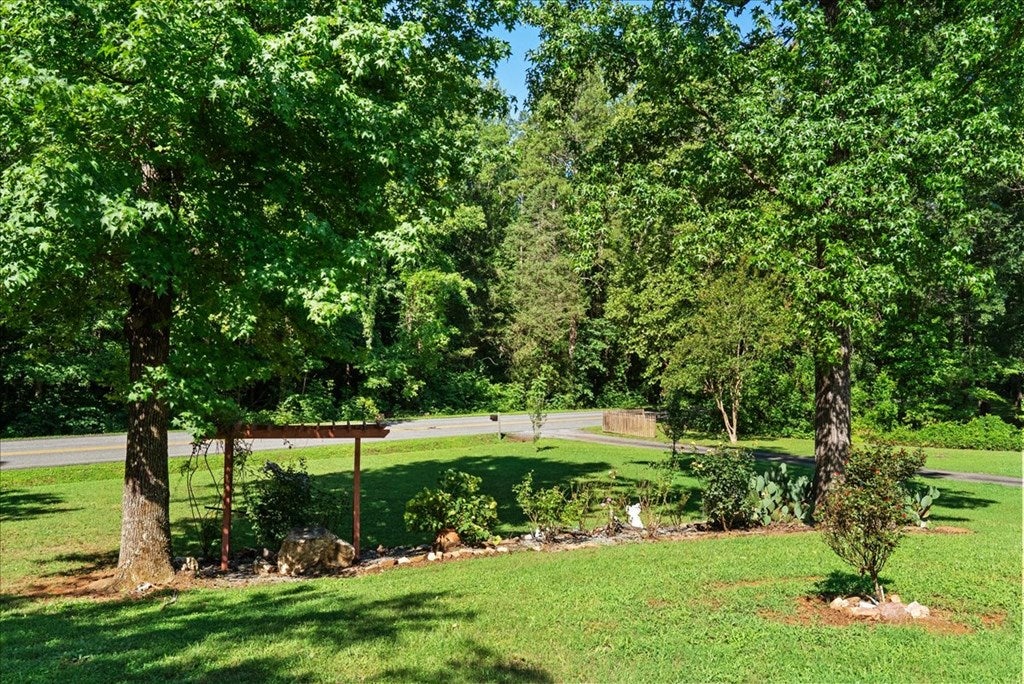 1055 South Terry's Bridge Road Scottsburg, VA 24589 - Photo 14 of 41 Front yard