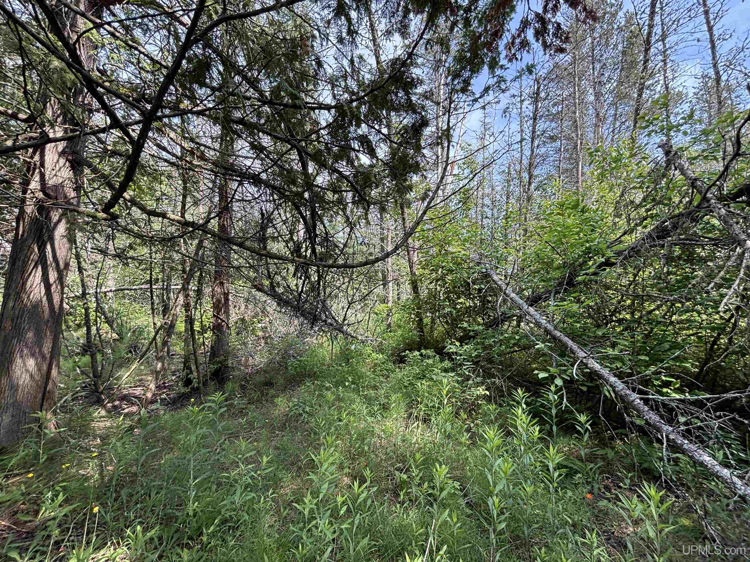 Tbd West Beach Road Naubinway, MI 49762 - Photo 44 of 45