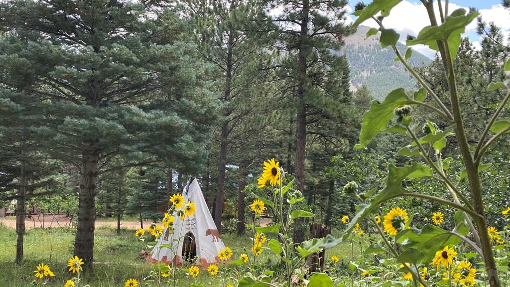 130 County Road La Veta, CO 81055 - Photo 46 of 52