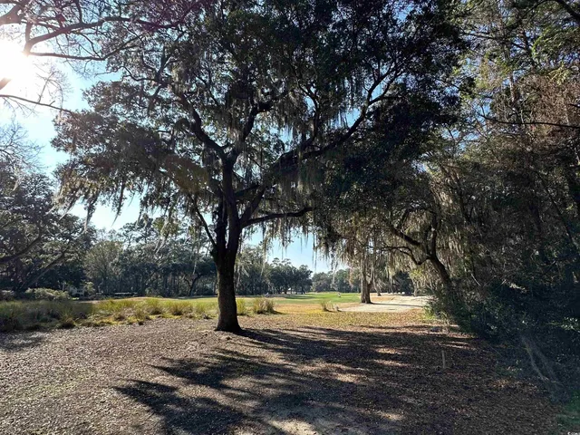 $485,000 | Lot 173 Sanderling Avenue, Georgetown, SC 29440