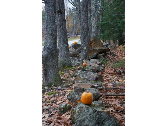 95 Saltmarsh Pond Road Gilford, NH 03249 - Photo 3 of 30 Gallery Image 3