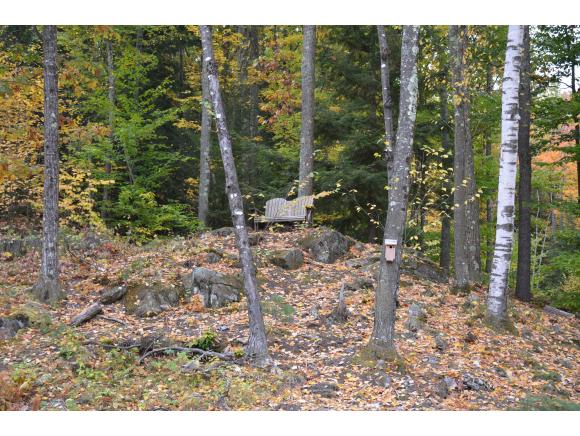 95 Saltmarsh Pond Road Gilford, NH 03249 - Photo 23 of 30 Gallery Image 23