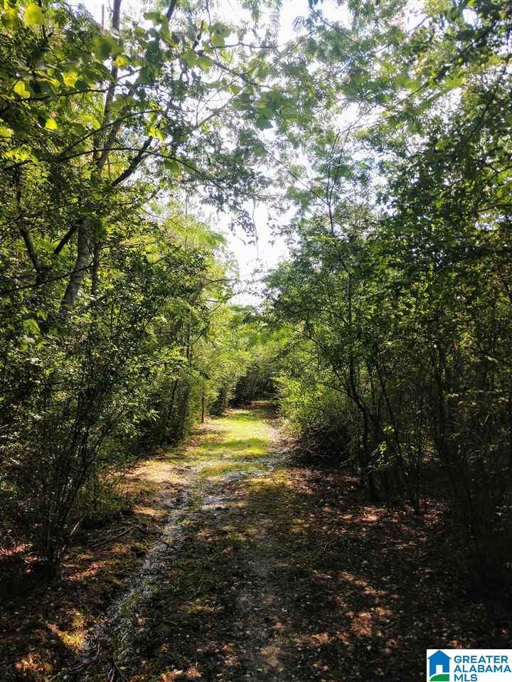 938 Glennwood Road Morris, AL 35116 - Photo 2 of 4
