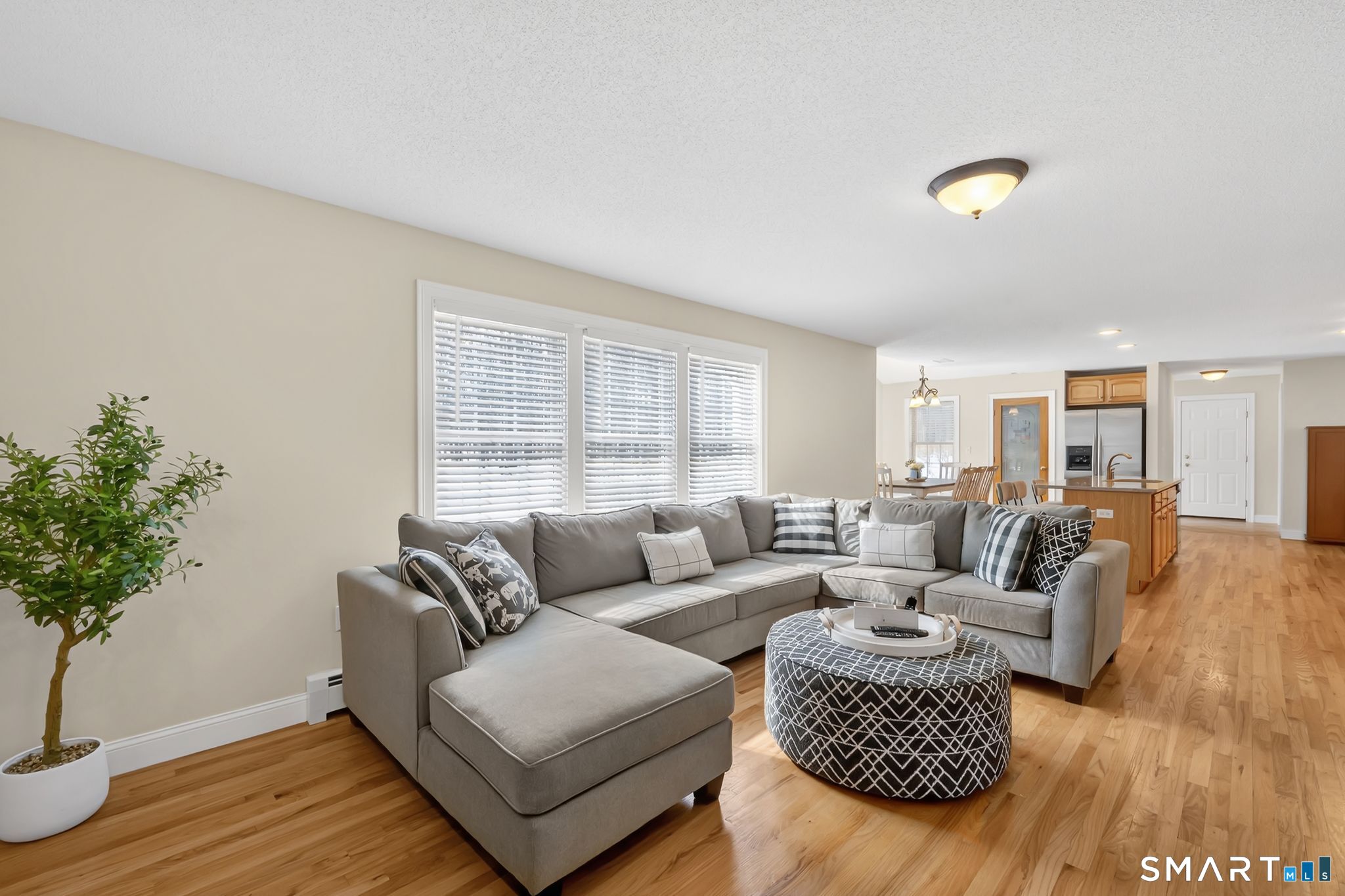 23 Neville Street Coventry, CT 06238 - Photo 10 of 40 a living room with furniture and a potted plant