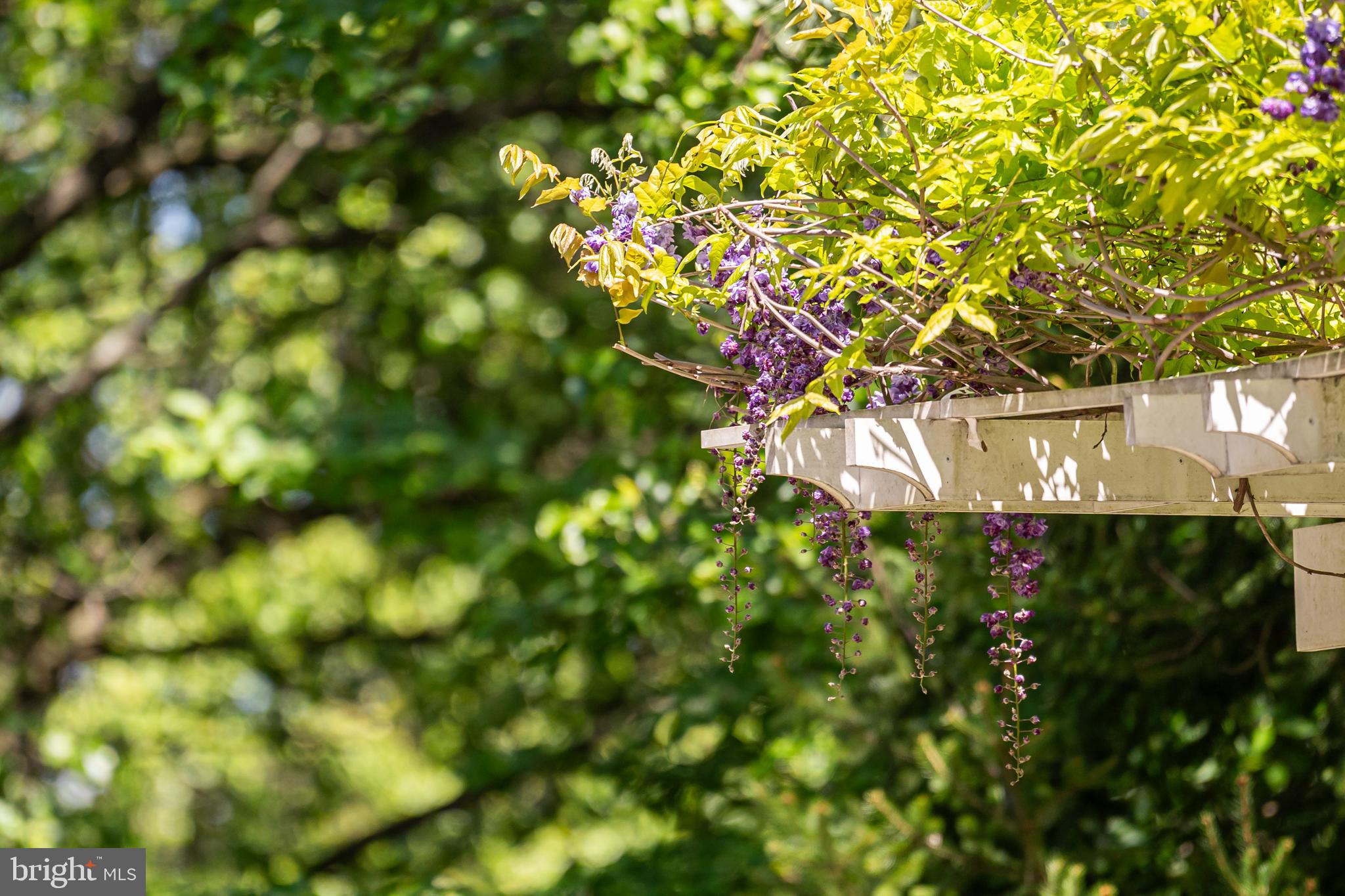 1309 Stable Farm Court Reston, VA 20194 - Photo 35 of 39 .