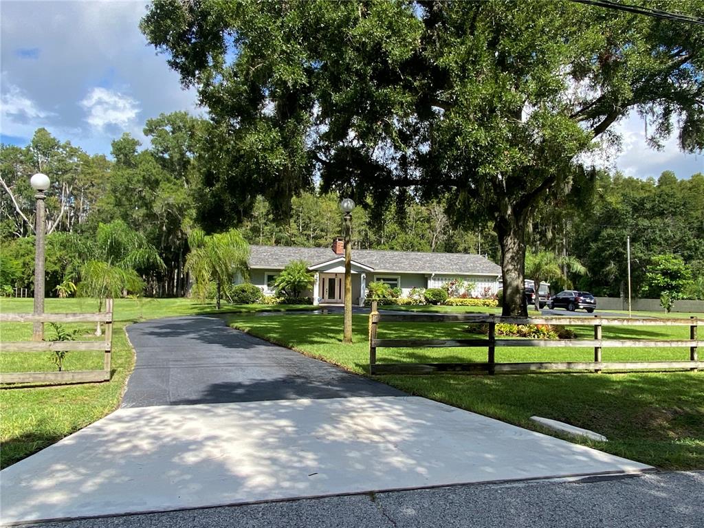 a view of a park with large trees
