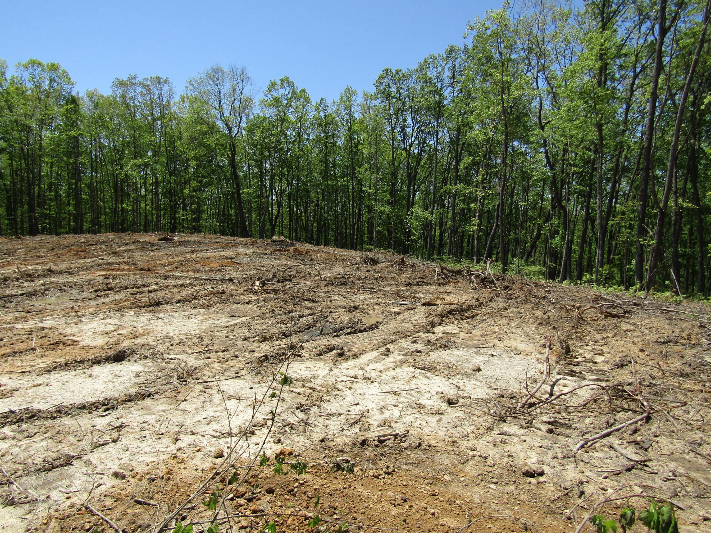 910 Milo Webb Road Crossville, TN 38572 - Photo 11 of 23 Building Site