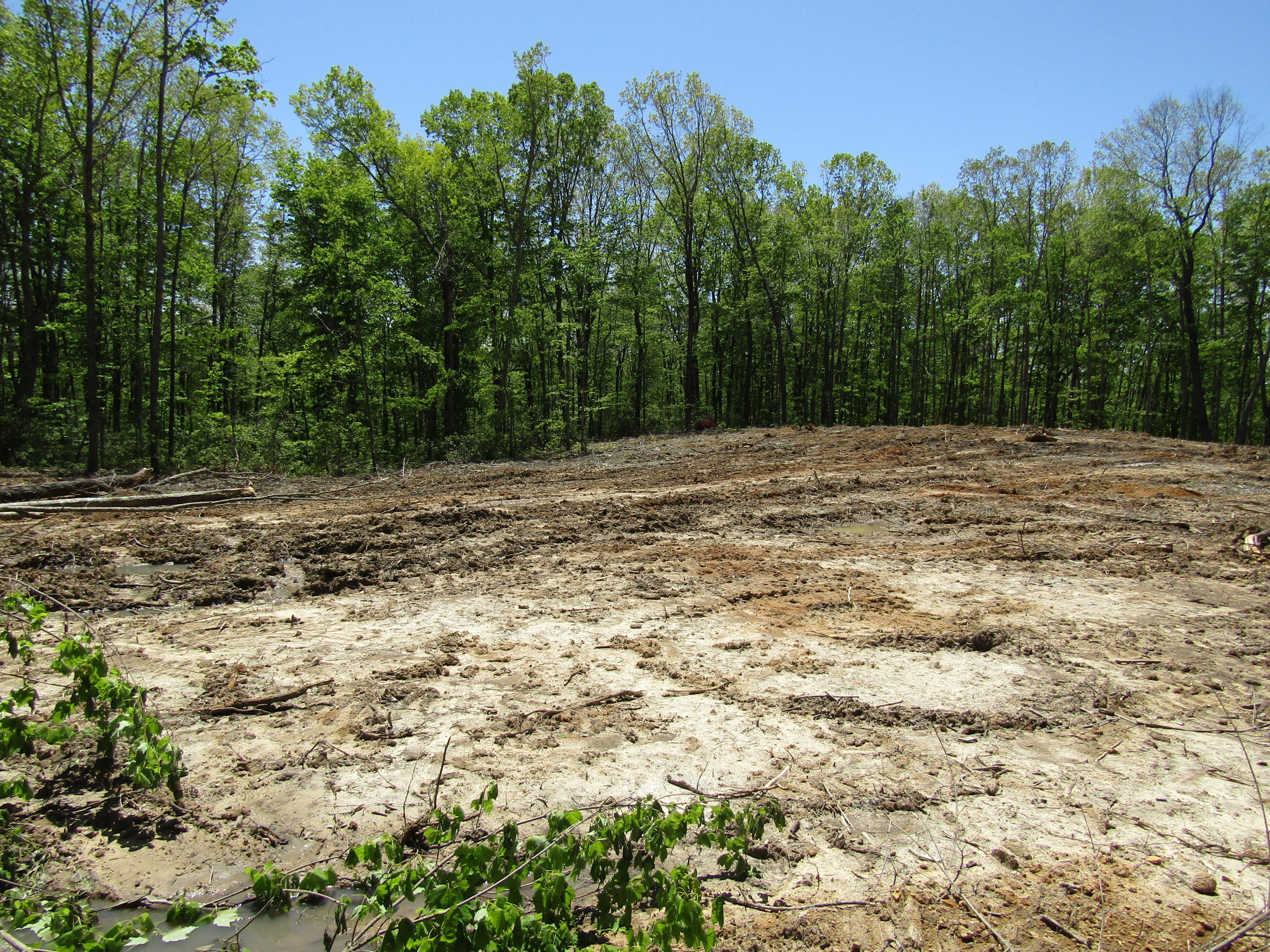 910 Milo Webb Road Crossville, TN 38572 - Photo 12 of 23 Building Site